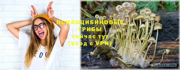 COCAINE Осинники