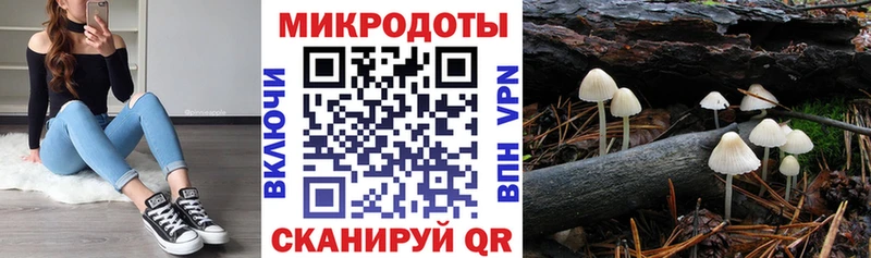 Галлюциногенные грибы MAGIC MUSHROOMS  купить закладку  Рославль 