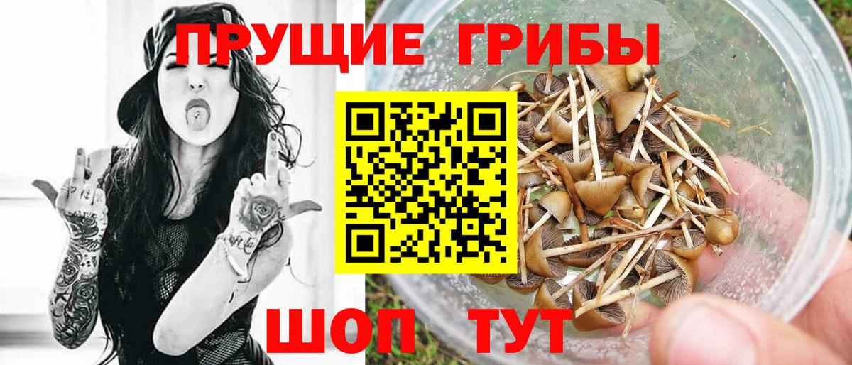 Галлюциногенные грибы Cubensis Рославль