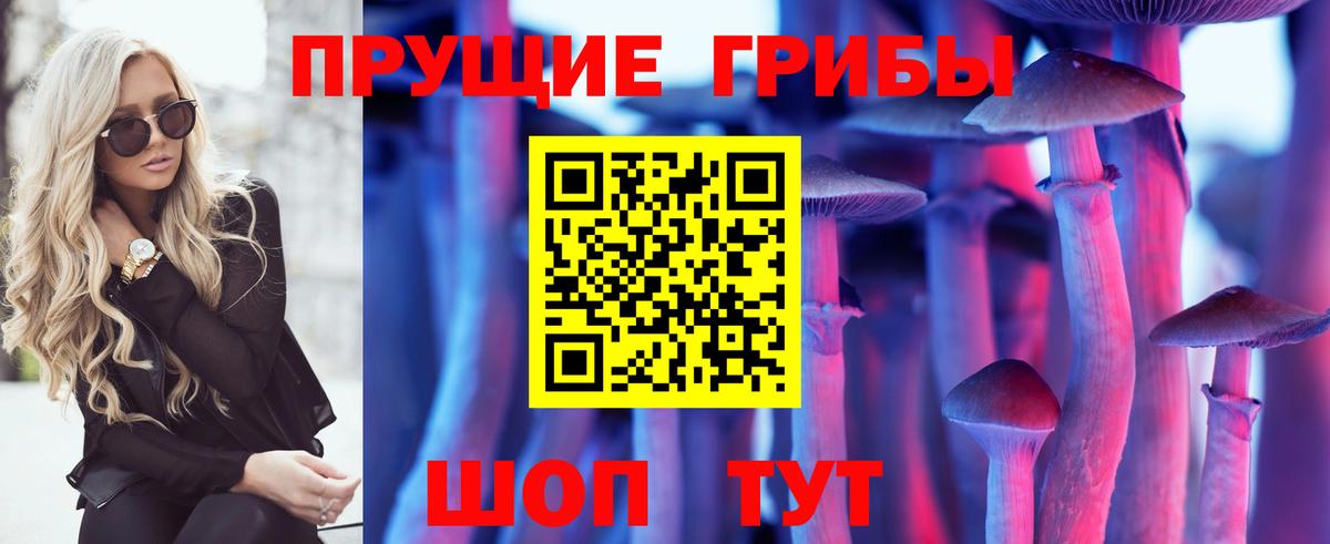 Псилоцибиновые грибы Psilocybine cubensis  Вход с VPN  Рославль  Псилоцибиновые грибы мицелий 